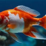 ai generated, koi, fish-8607664.jpg