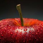 apple, fruit, wet-8591539.jpg